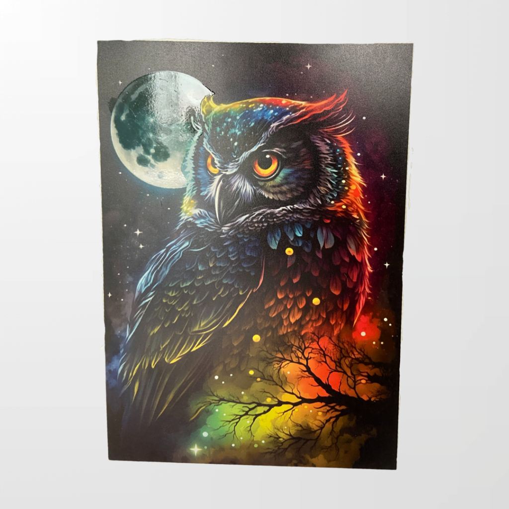 Design sem nome (19)